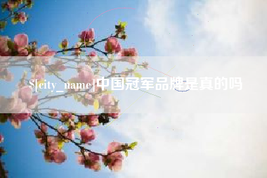 莆田中国冠军品牌是真的吗