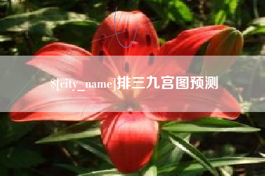 莆田排三九宫图预测