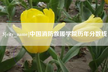 莆田中国消防救援学院历年分数线