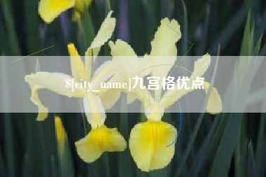 莆田九宫格优点
