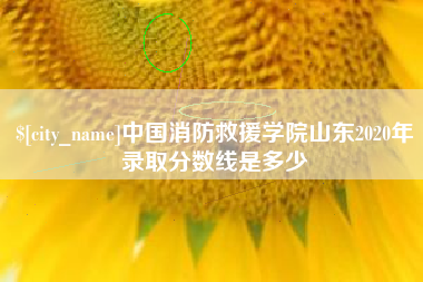 莆田中国消防救援学院山东2020年录取分数线是多少