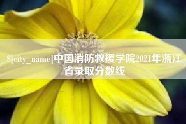 莆田中国消防救援学院2021年浙江省录取分数线