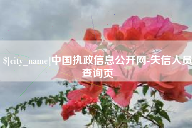 莆田中国执政信息公开网-失信人员查询页