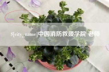 莆田中国消防救援学院 老师