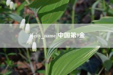 莆田中国第9金