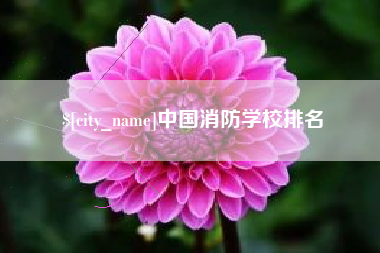 莆田中国消防学校排名
