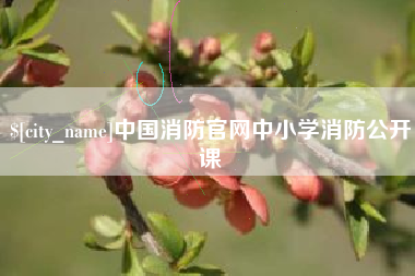 莆田中国消防官网中小学消防公开课