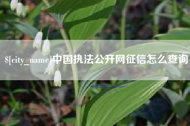 莆田中国执法公开网征信怎么查询