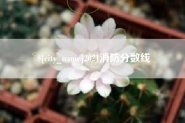 莆田2021消防分数线