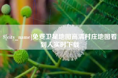莆田免费卫星地图高清村庄地图看到人实时下载