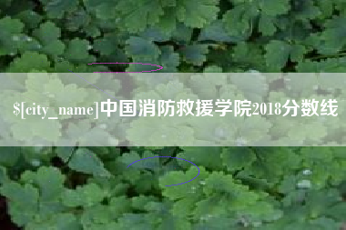 莆田中国消防救援学院2018分数线