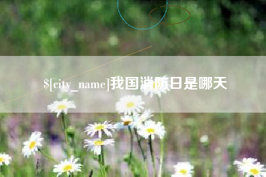 莆田我国消防日是哪天