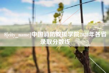 莆田中国消防救援学院2020年各省录取分数线
