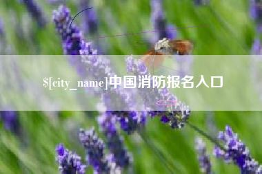 莆田中国消防报名入口