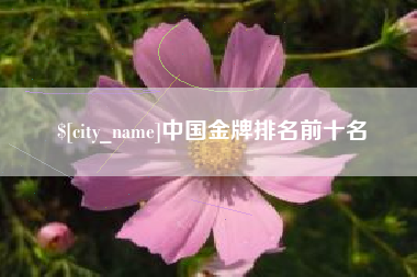 莆田中国金牌排名前十名
