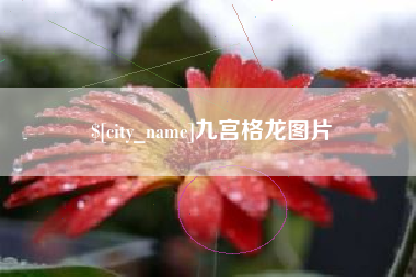 莆田九宫格龙图片