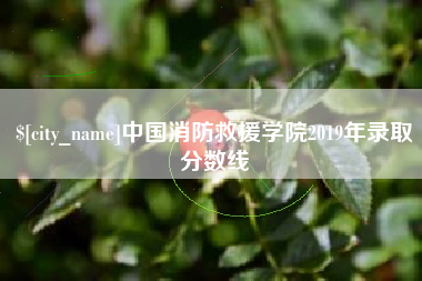 莆田中国消防救援学院2019年录取分数线