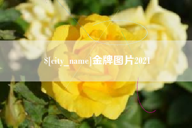莆田金牌图片2021
