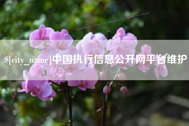 莆田中国执行信息公开网平台维护