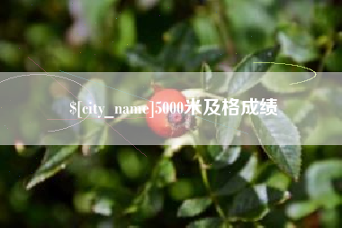莆田5000米及格成绩