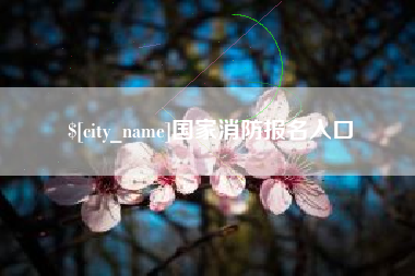 莆田国家消防报名入口