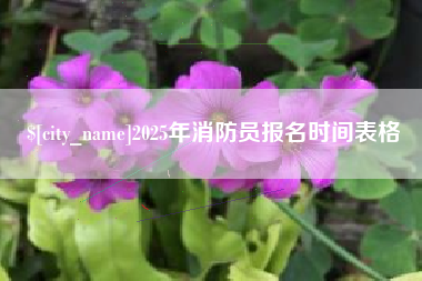 莆田2025年消防员报名时间表格