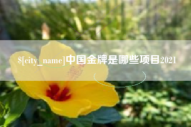 莆田中国金牌是哪些项目2021
