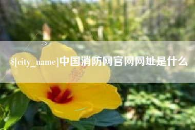 莆田中国消防网官网网址是什么