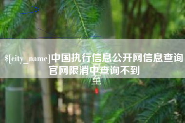 莆田中国执行信息公开网信息查询官网限消中查询不到