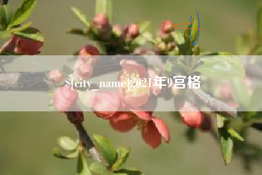 莆田2021年9宫格