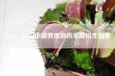 莆田中国救援消防学院招生简章