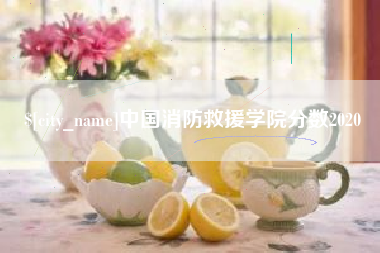 莆田中国消防救援学院分数2020