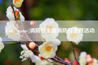 莆田消防日全国消防日主题活动
