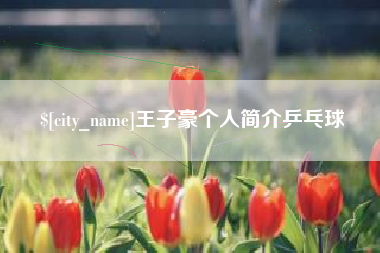 莆田王子豪个人简介乒乓球