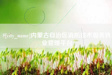 莆田内蒙古自治区消防技术服务执业管理平台