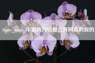莆田中国执行信息公开网真的假的