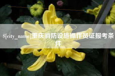 莆田重庆消防设施操作员证报考条件