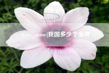 莆田我国多少个金牌