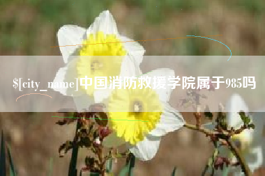 莆田中国消防救援学院属于985吗