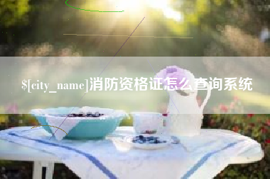 莆田消防资格证怎么查询系统