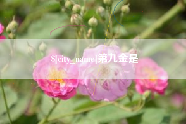 莆田第九金是