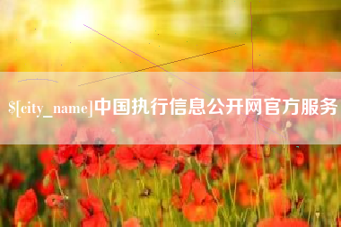 莆田中国执行信息公开网官方服务