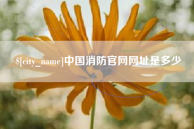 莆田中国消防官网网址是多少