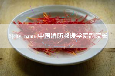 莆田中国消防救援学院副院长