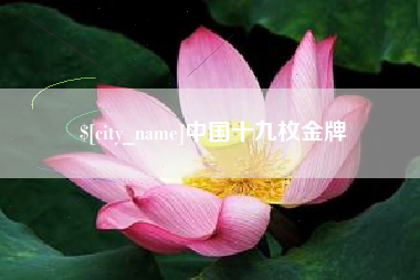 莆田中国十九枚金牌