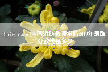 莆田中国消防救援学院2019年录取分数线是多少