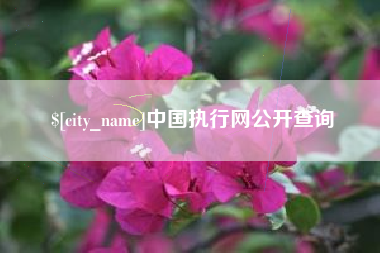 莆田中国执行网公开查询