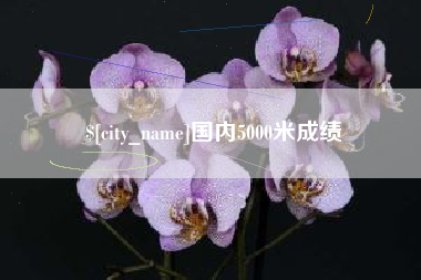 莆田国内5000米成绩