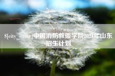 莆田中国消防救援学院2021年山东招生计划