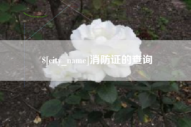 莆田消防证的查询